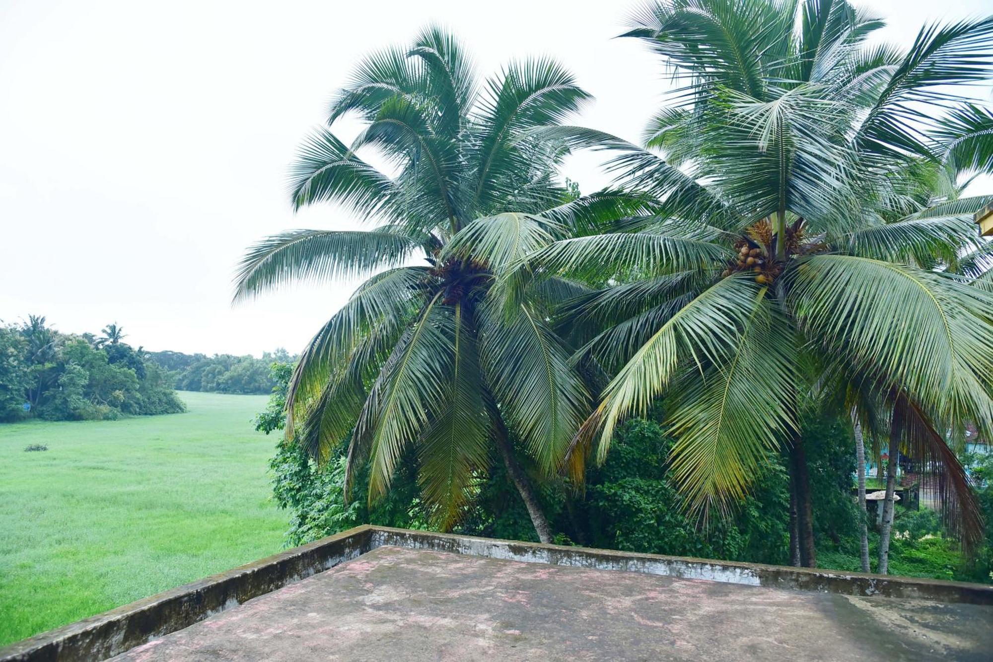 Field Stone -3 Bhk Duplex